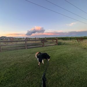 Meet your Posher, Maddie